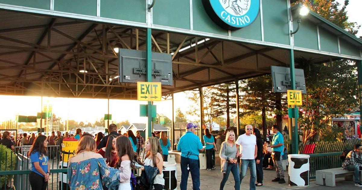 Find out what's planned for the National Garlic Festival coming to