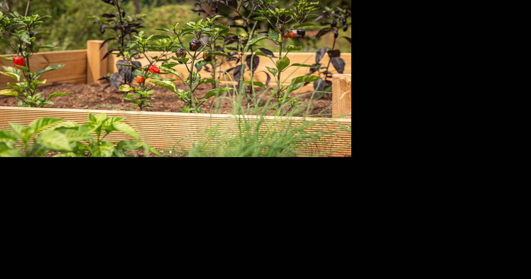 Gardening for disabled persons and the elderly | Master Gardener