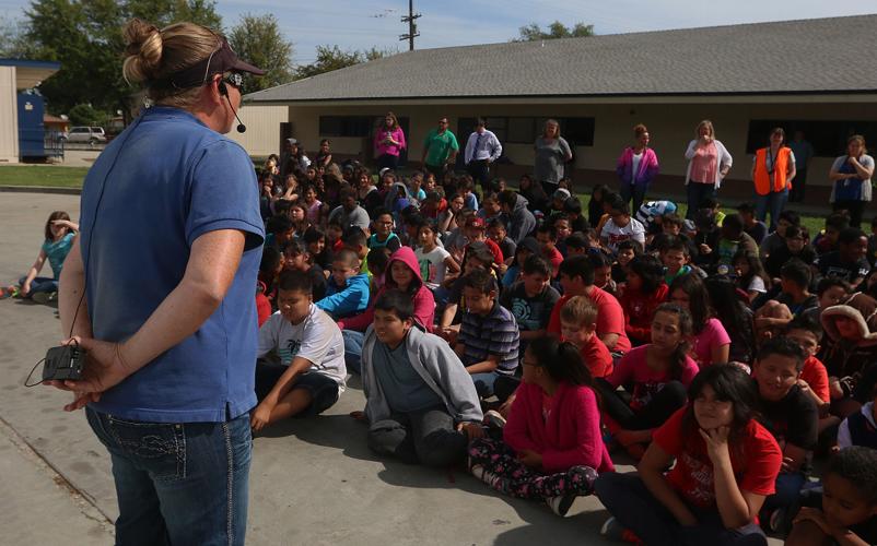Dairy cows shown off at local school Local News