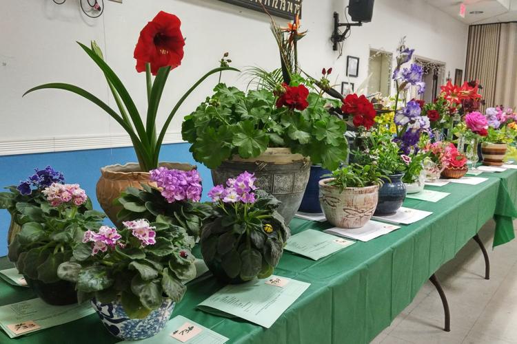 Raisin Festival competition winners named Local News Selma