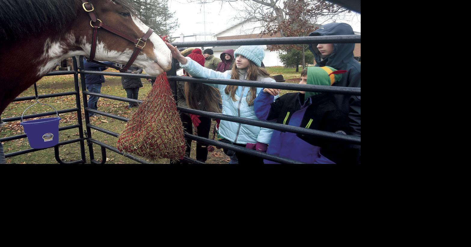 Three Oaks Snowflake Stroll celebration planned News harborcountry