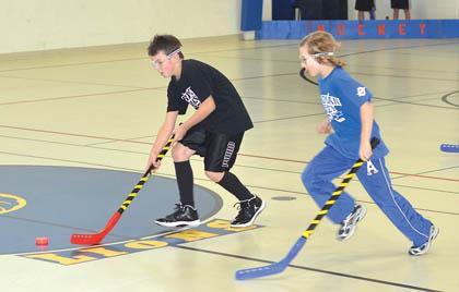 articles with regards to surface hockey articles on the subject of flooring hockey