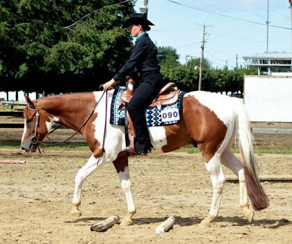 9 4 4 HS Equest BHS ELise Trail 2.jpg