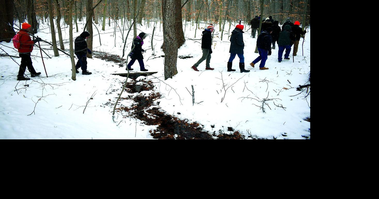 First Day Hikers explore the winter woods