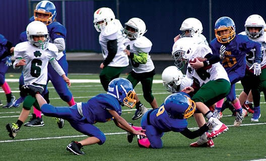 11 19 WEB Rockets 1 A Minors tackle time.jpg