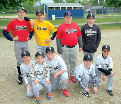 Baseball Association perseveres in Three Oaks | Sports | harborcountry ...