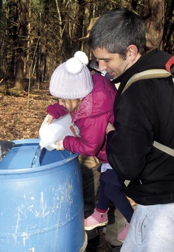 maple syrup tours near me