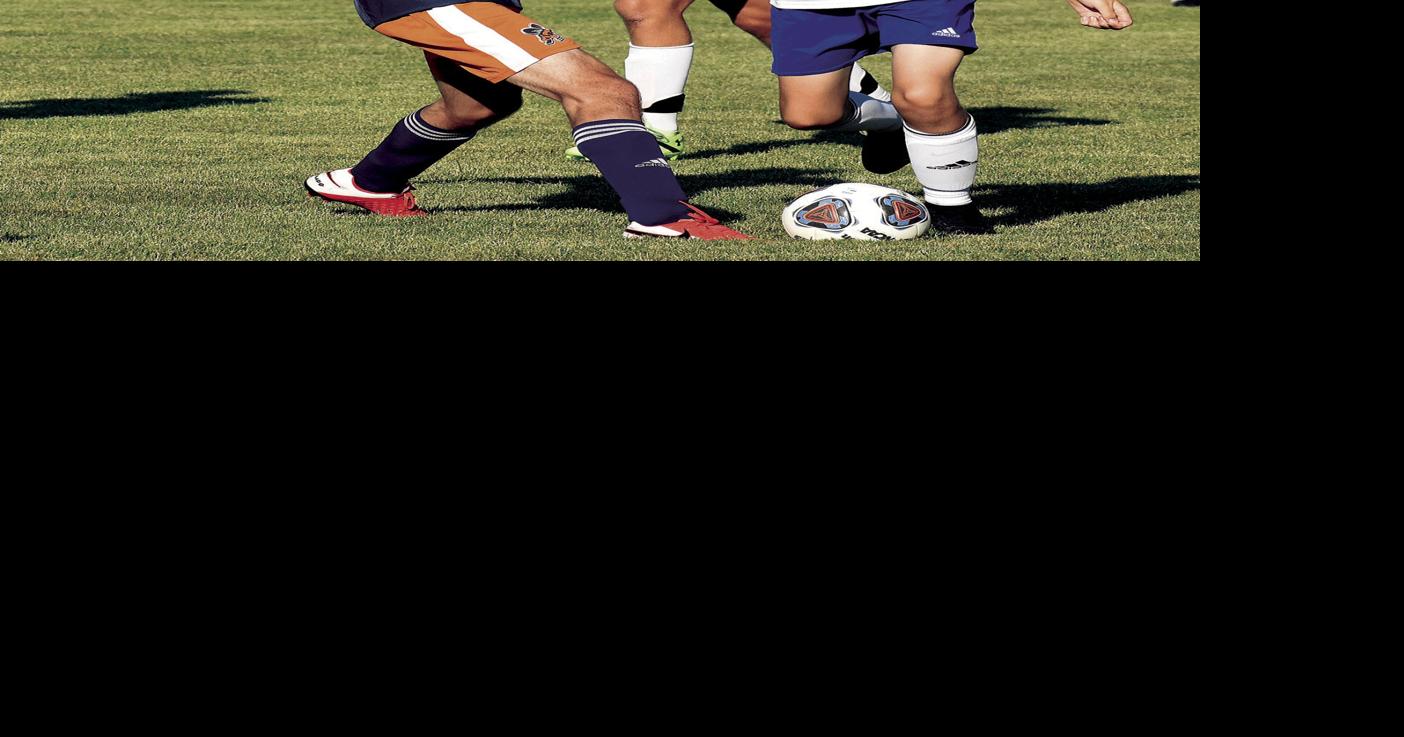 Bridgman soccer team rolls to 2-0 start | Sports | harborcountry-news.com