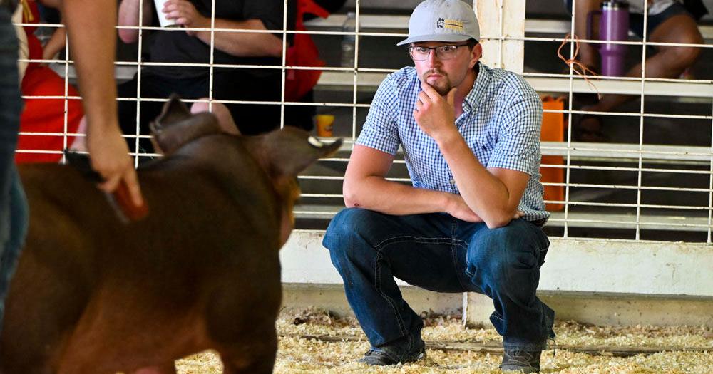 Judging at Jay