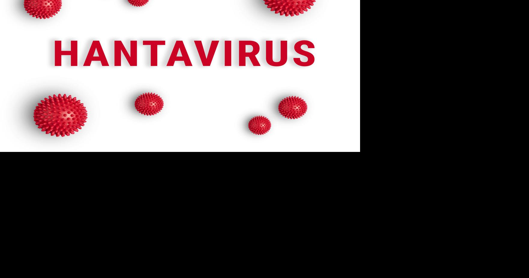 Hantavirus death reported in Kingman , Mohave County Health Department says