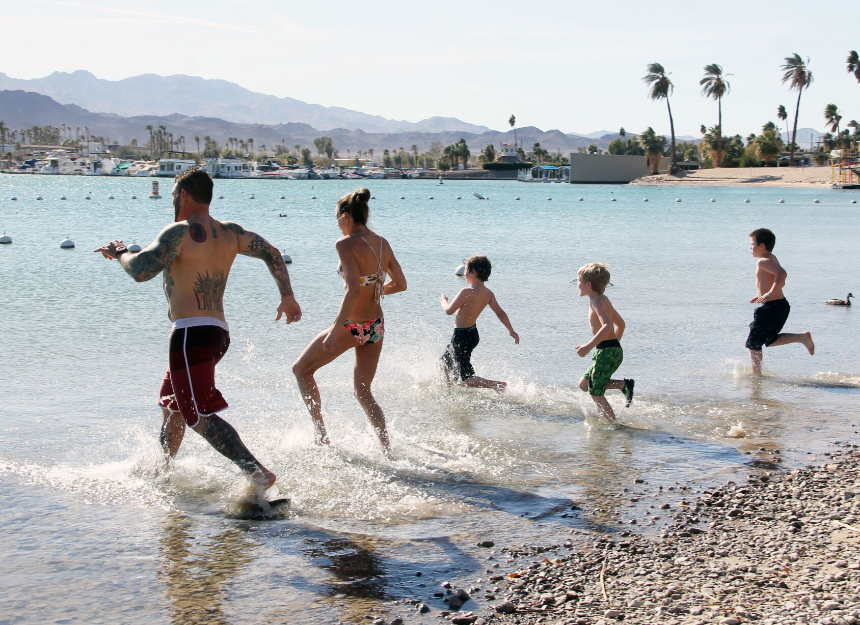 Plungers brave windy conditions for annual Polar Bear Day Local News Stories havasunews picture