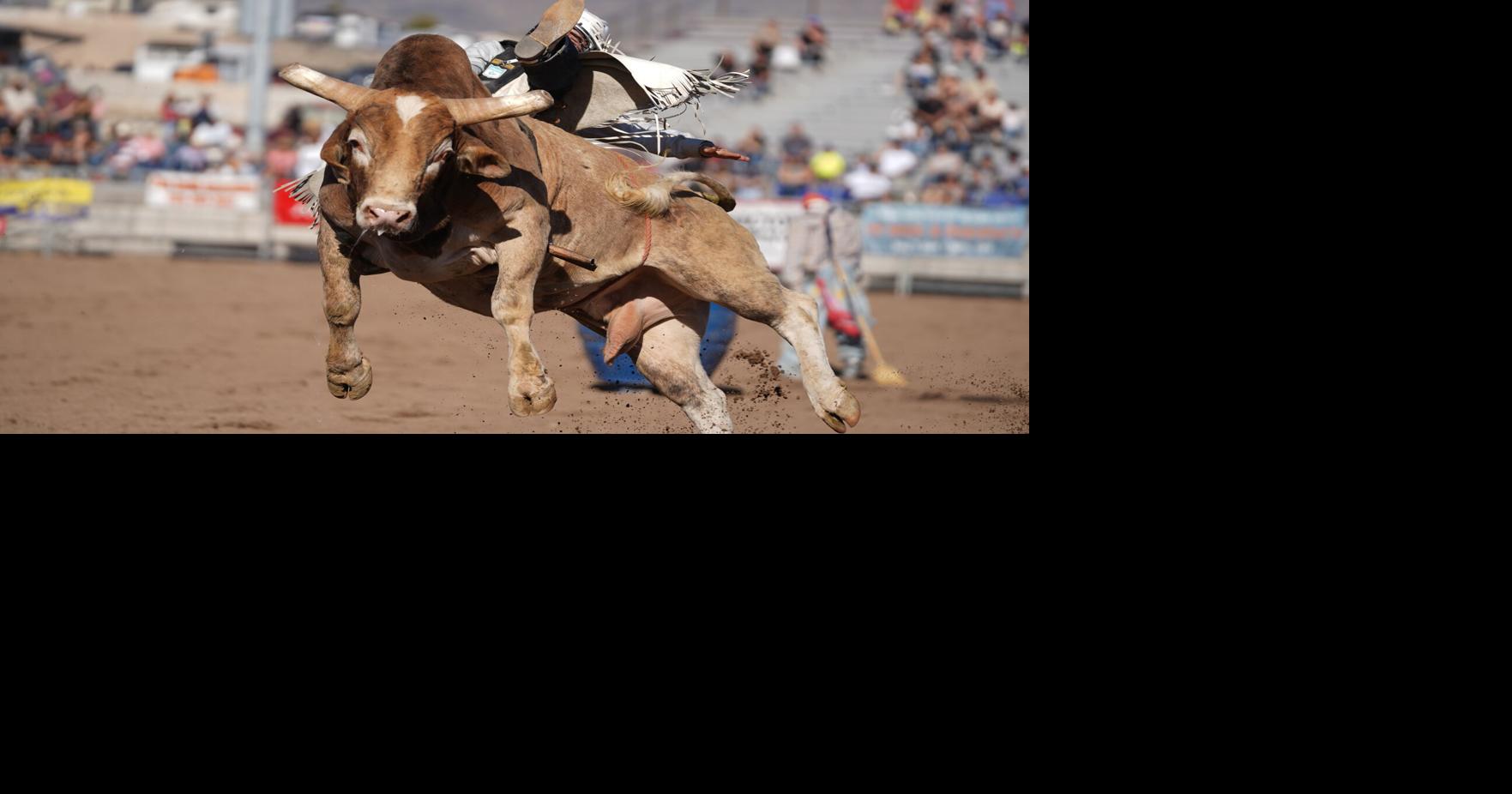 Little Delbert Days Rodeo wows fans in attendance | Complimentary ...