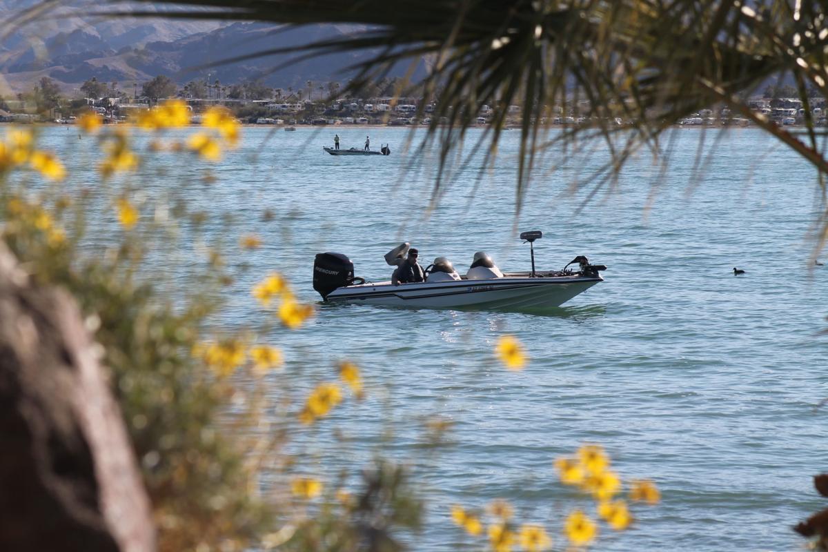 Photos: American Bass tournament reels in 43 fish Saturday ...