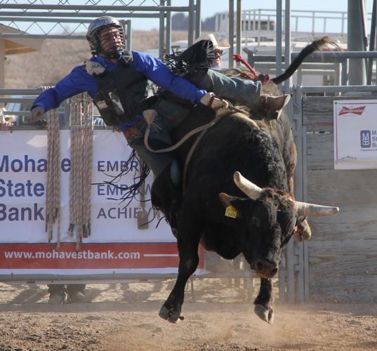 Robert Butler Rodeo RODEO: Stock shines on opening day of Delbert Days | Local News Stories ...