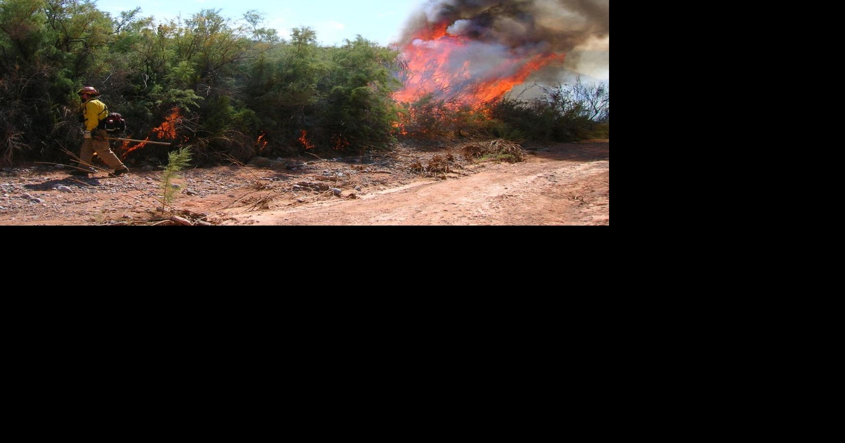 Lake Mead National Recreation Area to conduct prescribed burns on Sept