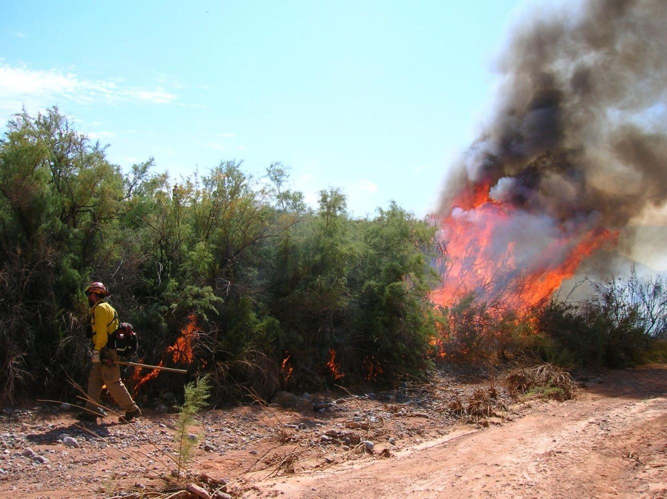 Lake Mead National Recreation Area to conduct prescribed burns on Sept
