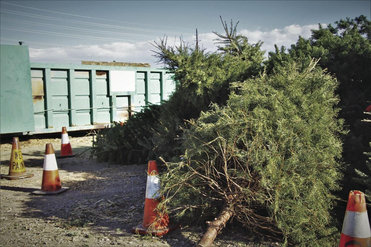 2021 Christmas Tree Lane Lake Havasu