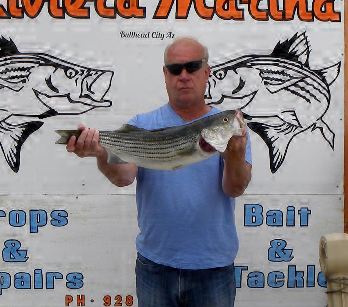 Lake Havasu Fishing Report March 2020 Unique Fish Photo