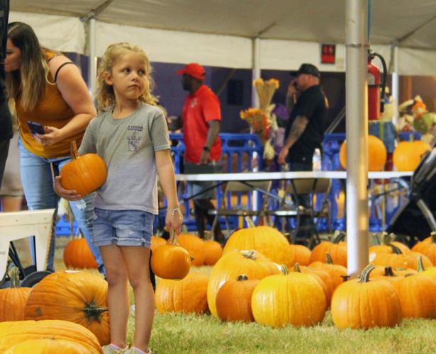 Photos Pumpkin Festival 2021 Local News Stories