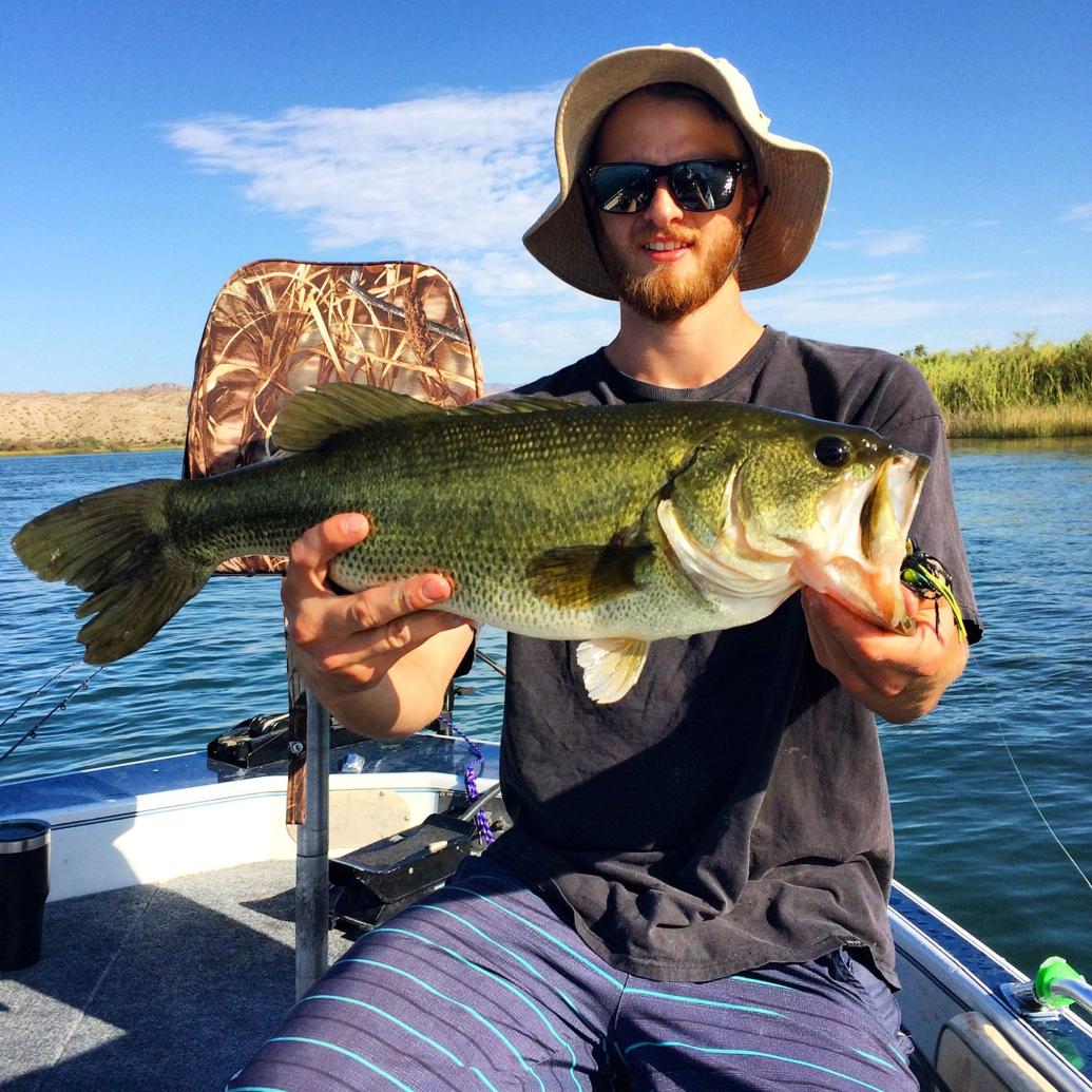 How's the fishing in Lake Havasu this spring? Local News Stories