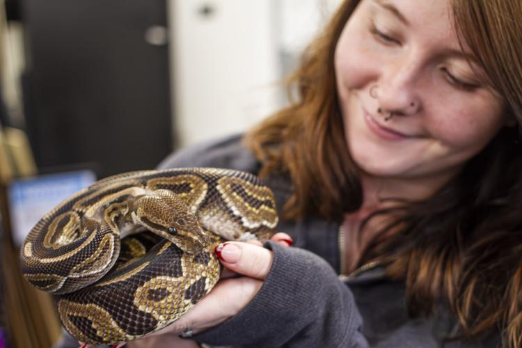 Snakes and Ladders Local woman finds purpose in combination exotic pet