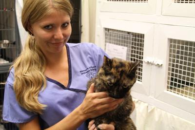 Cat Rescued After 1 Hour Underwater On Sunken Boat In Lake Havasu