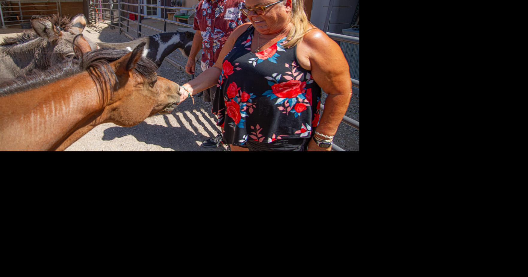 People of Havasu: Love, llamas and a little help from unexpected ‘Angels’ | Police
