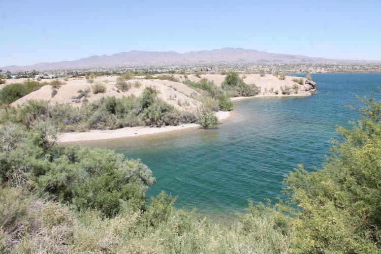 88 acres of land on Island to be auctioned off in September Local