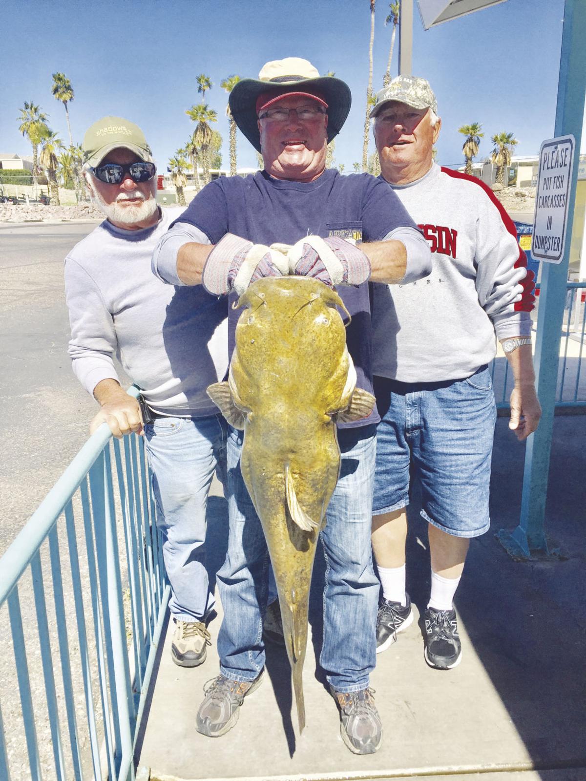 arizona bass tournament schedule on Fishing Reports For April 14 Lifestyle Havasunews Com
