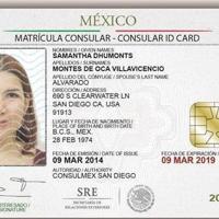 Ducey signs bill recognizing validity of consular ID cards | Local News ...