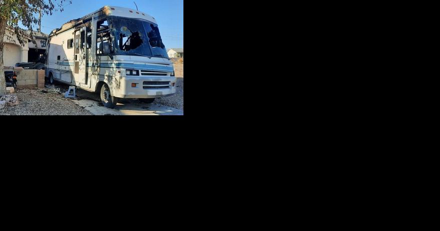 Two motorhomes destroyed and twenty-five dogs rescued in fire - Vimarsana News