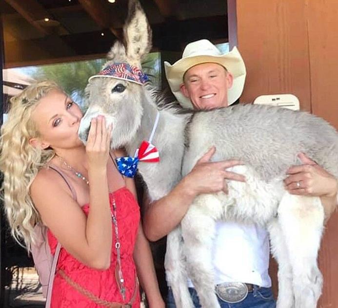 Orphaned donkey who became mayor of Oatman will be immortalized in print | Local News Stories