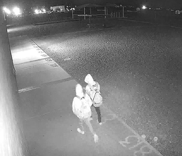 police-identify-middle-school-vandals-local-news-stories-havasunews