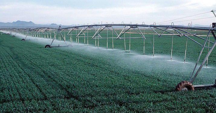 Legislator: Gail Griffin: Local control of groundwater 'bad for Arizona' | Local News Stories - Vimarsana News