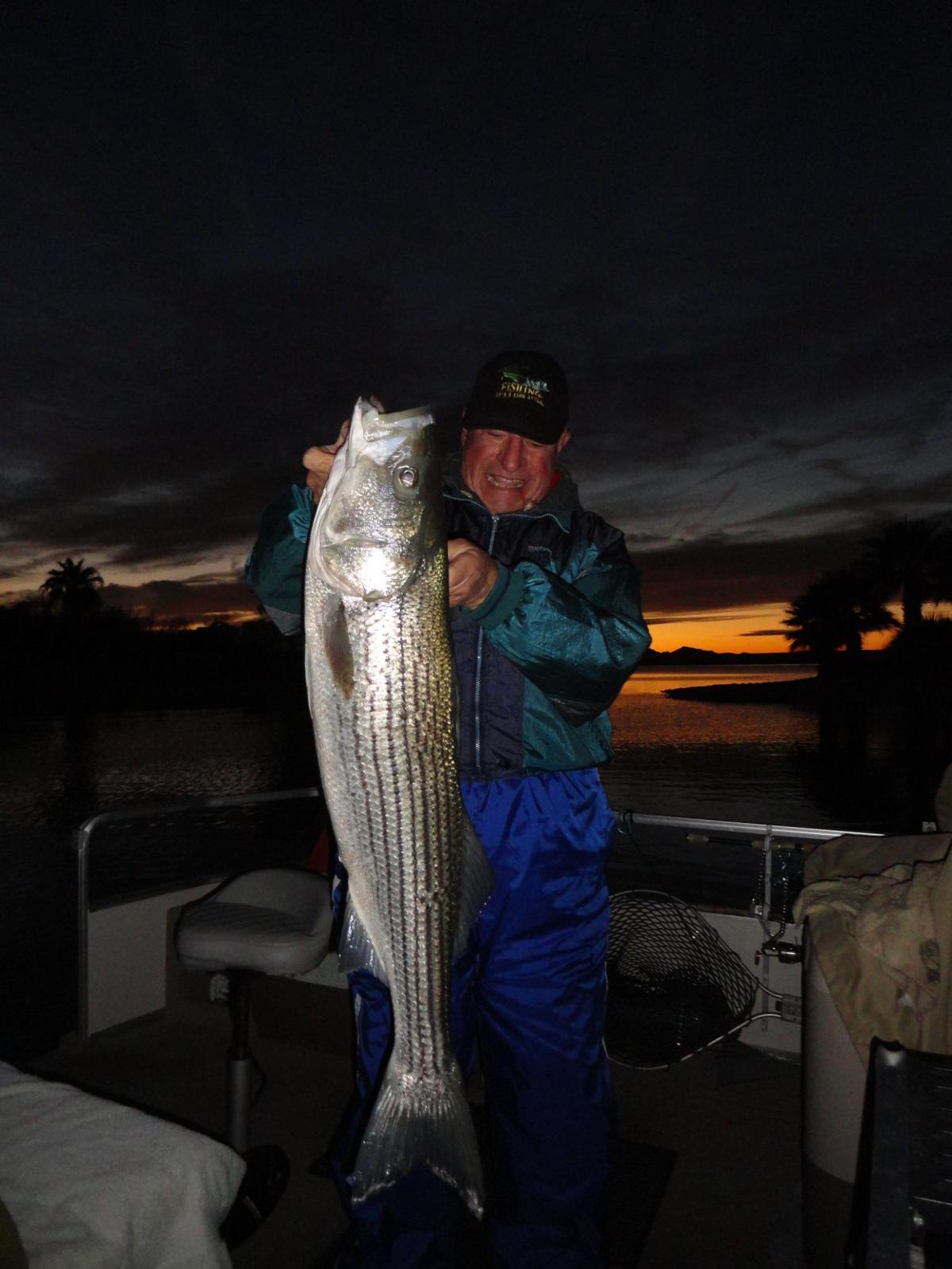 Photos Big fish caught in Lake Havasu Local News Stories