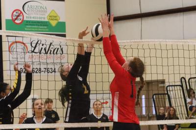 Tigers volleyball drops match to undefeated BASIS Prescott Local