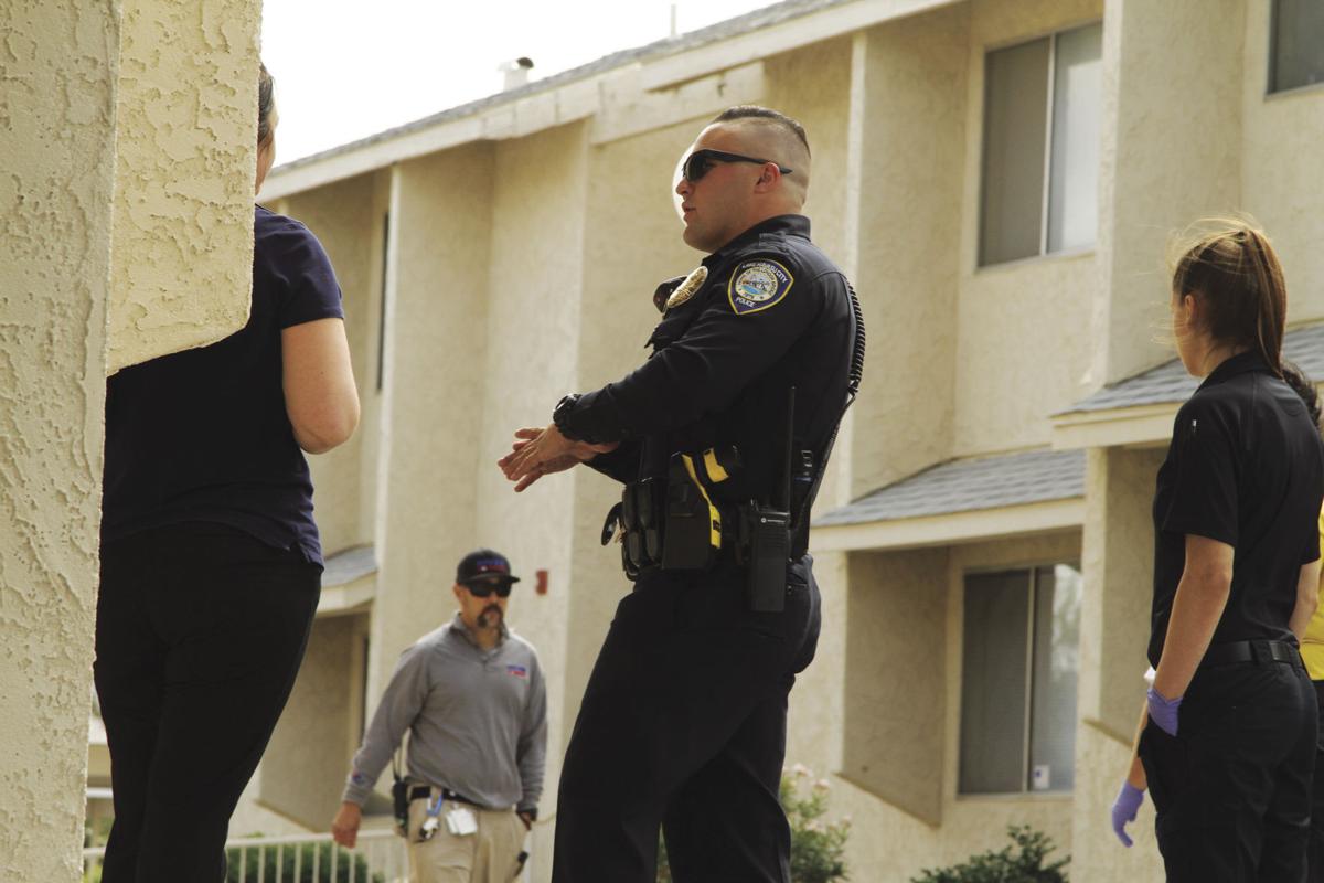 Knife assault lands Havasu woman in jail Local News Stories