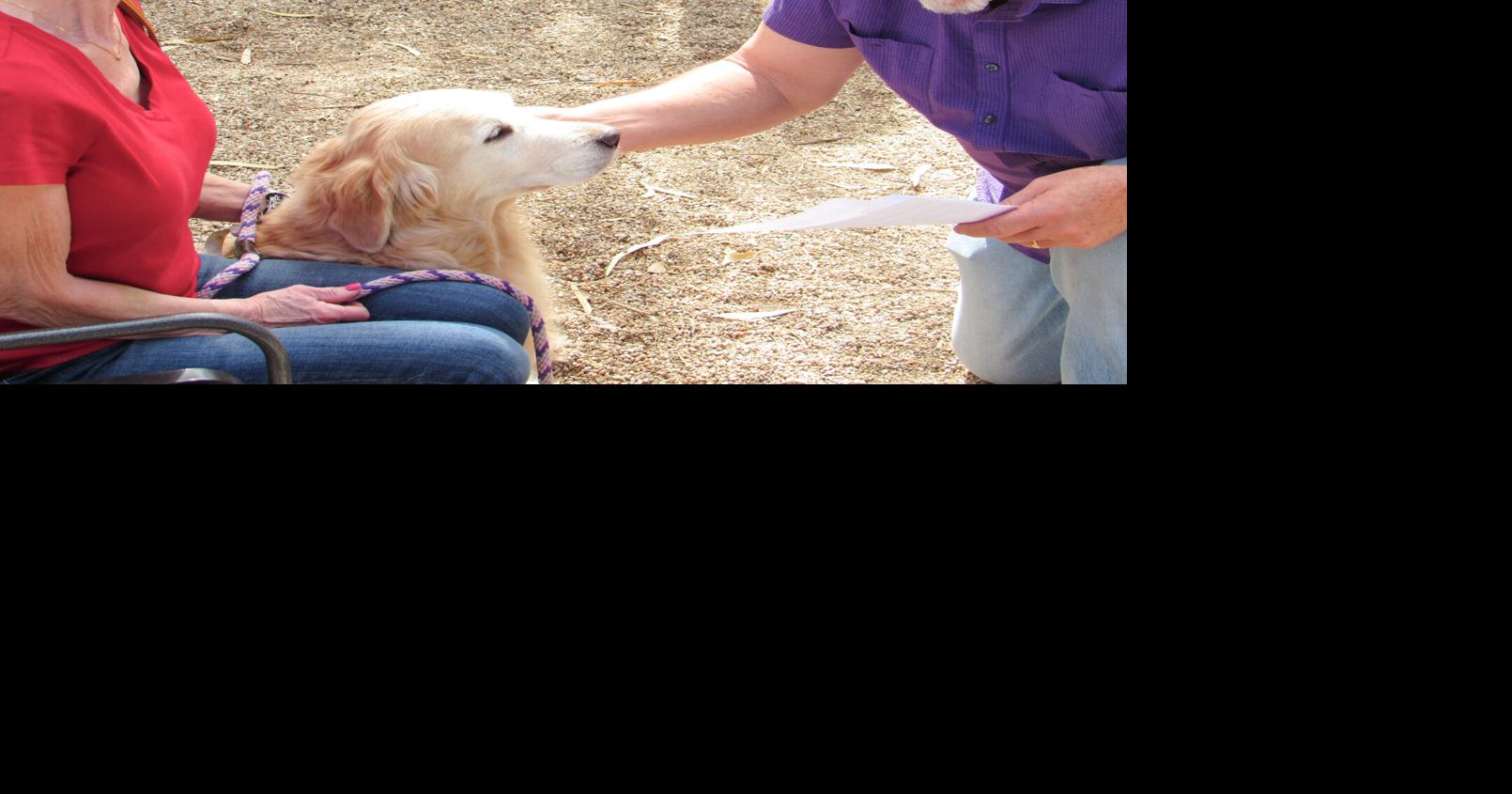 Photos | ‘Blessing of the Pets’ honors unique bonds at Jack Hardie Park