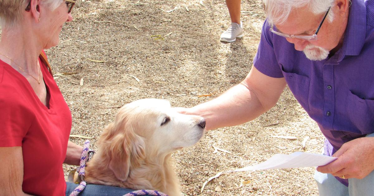 Photos | ‘Blessing of the Pets’ honors unique bonds at Jack Hardie Park