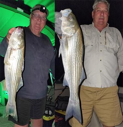 Don Martin: Fishing with the Asplin family on Lake Mead