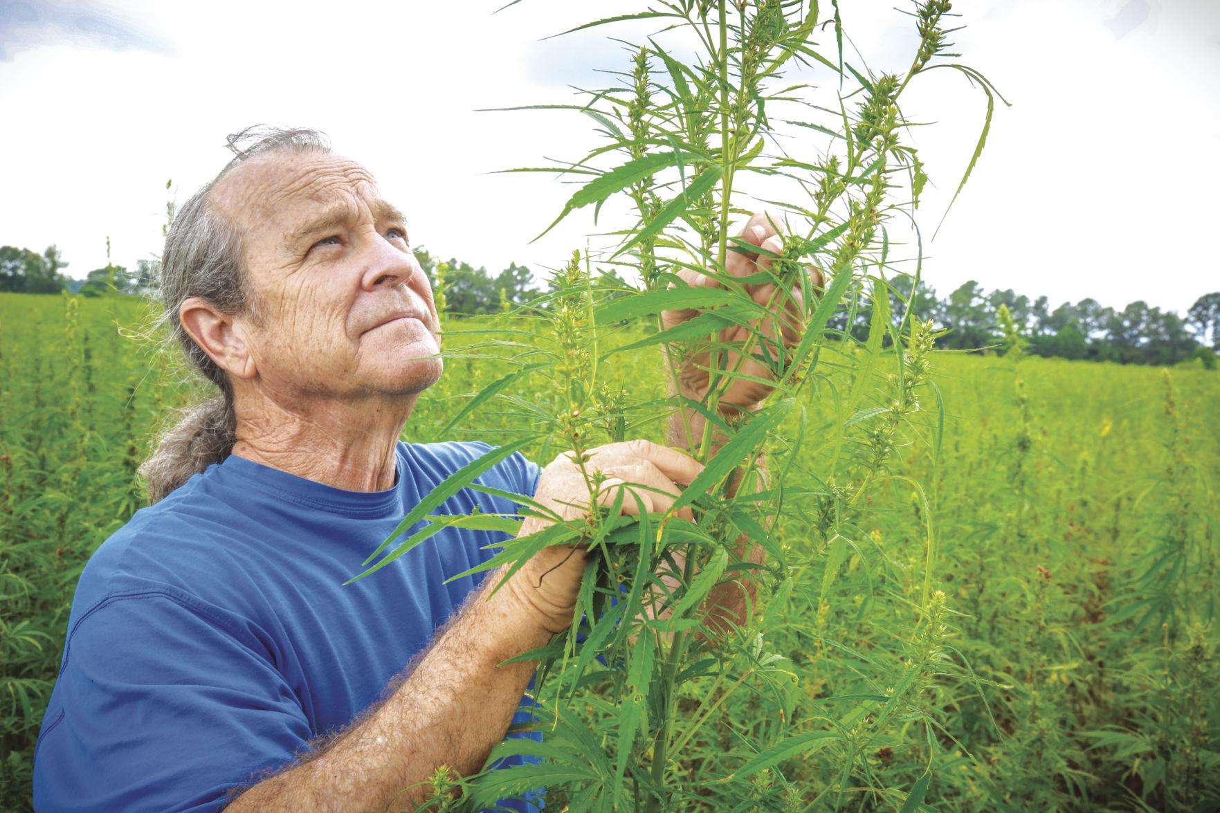 Mohave County hemp farm poised to plant its first seeds