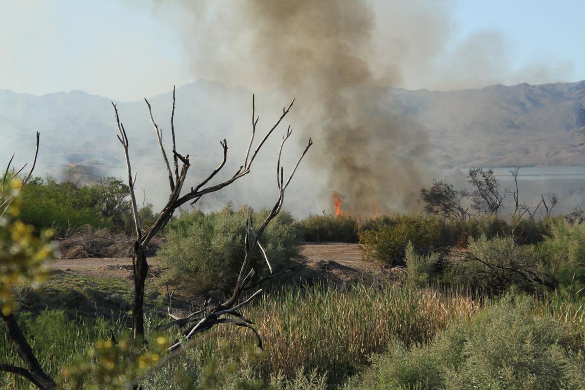 Cause of multiple brush fires unknown, Lake Havasu City Fire Department says Local News