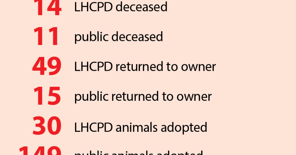 Read MoreWestern Arizona Humane Society | Quarterly report (October - December 2025)