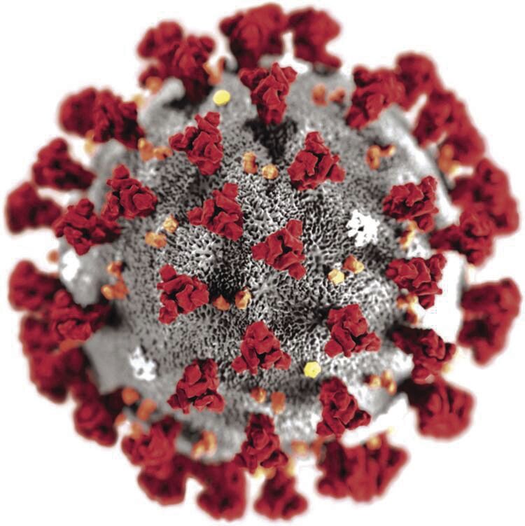 The virus that changed everything