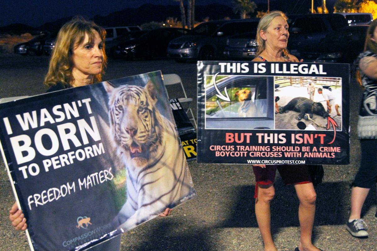Circus Protesters Say They Won T Give Up Local News Stories Havasunews Com