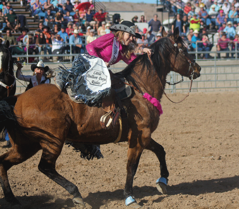 Havasu woman held reins as rodeo queen Local News Stories