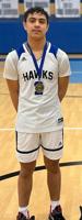 Ibarra wins 3-point contest at Hawks tourney