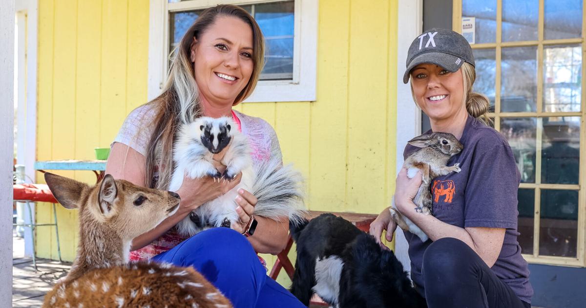 Heroes to animals in need | Heroes to animals in need |