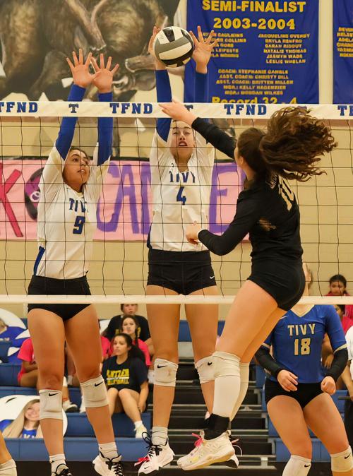 Lady Antlers fight hard, lose to Johnson in five sets