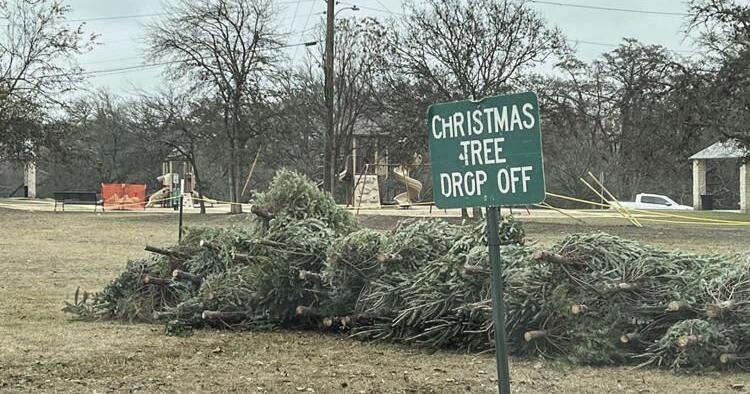 City offering Christmas tree recycling | Local News ...